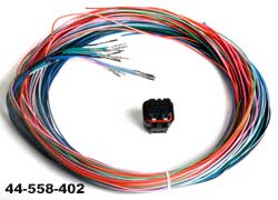 Holley J2B connector and Harness