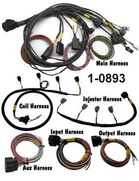 MPS Terminated Harness for MaxxECU Sport